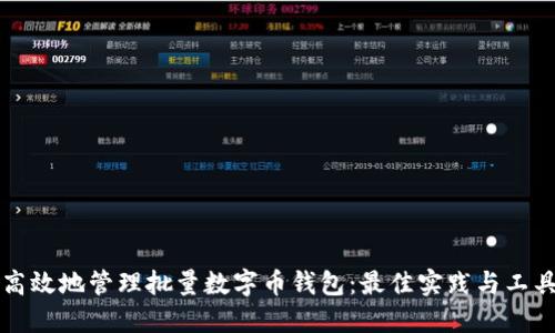 如何高效地管理批量数字币钱包：最佳实践与工具指南