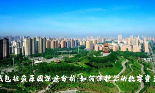加密钱包被盗原因深度分析：如何保护你的数字资产安全