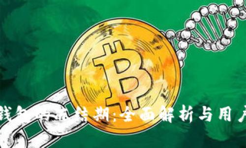 数字钱包的冻结期：全面解析与用户指南