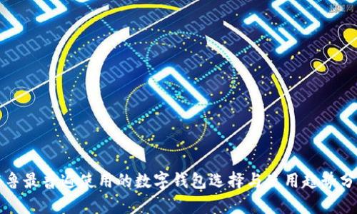 秘鲁最普遍使用的数字钱包选择与使用趋势分析