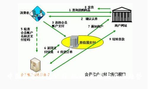 中国数字钱包公司：现状、发展与未来趋势