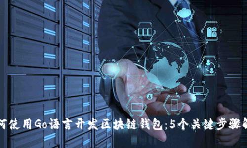 如何使用Go语言开发区块链钱包：5个关键步骤解析