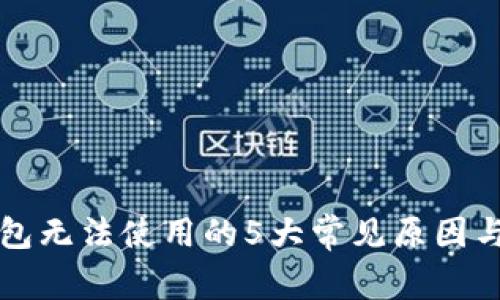 区块链钱包无法使用的5大常见原因与解决方案