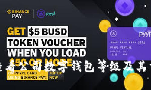 如何查看公司数字钱包等级及其重要性