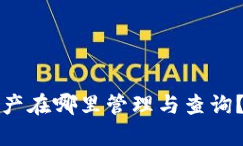 TP钱包里的资产在哪里管理与查询？完整指南解析