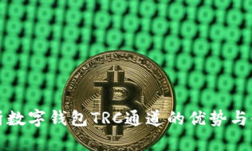 全面解析数字钱包TRC通道的优势与使用指南