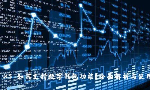 苹果 XS 如何支持数字钱包功能？全面解析与使用指南