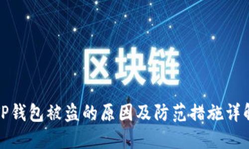TP钱包被盗的原因及防范措施详解
