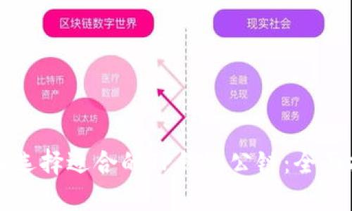 如何选择适合的TP钱包公链：全面指南
