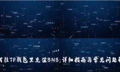 如何往TP钱包里充值BNB：详细指南与常见问题解答