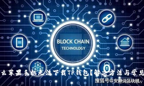 为什么苹果手机无法下载TP钱包？解决方法与常见问题