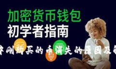 TP钱包中刚购买的币消失的原因及解决方案