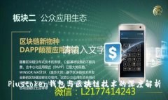 Piustoken钱包与区块链技术