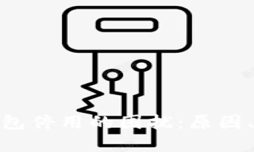 如何应对个人数字钱包停用的困扰：原因、解决方案与预防措施