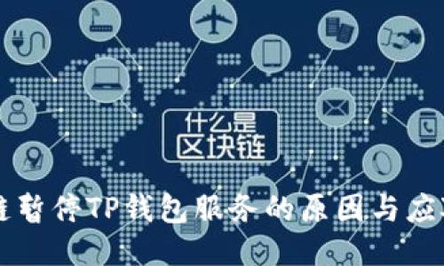 币安链暂停TP钱包服务的原因与应对策略