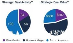 TP钱包选未上交易所新币的详细教程