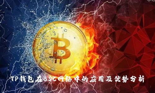 TP钱包在BSC网络中的应用及优势分析