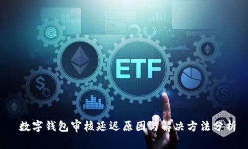  数字钱包审核延迟原因与解决方法分析