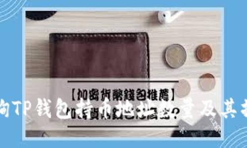 如何查询TP钱包持币地址数量及其操作指南