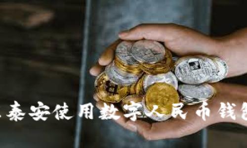 如何在山东泰安使用数字人民币钱包：全面指南