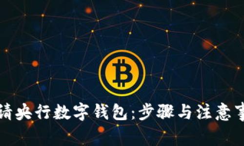 如何申请央行数字钱包：步骤与注意事项详解