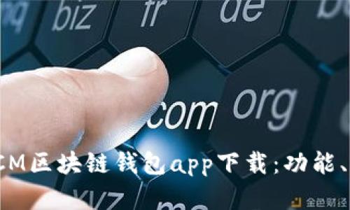 : 全面解析DCM区块链钱包app下载：功能、特点与安全性