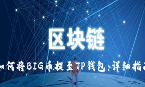 如何将BIG币提至TP钱包：详细指南
