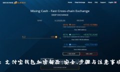 : 支付宝钱包加密解除：安全、步骤与注意事项